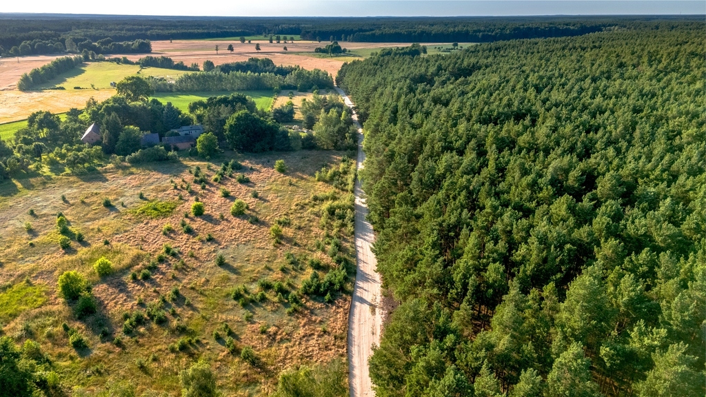 Zdjęcie 13