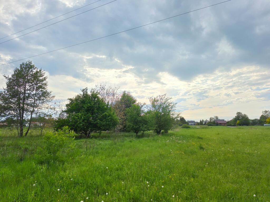 Zdjęcie 6