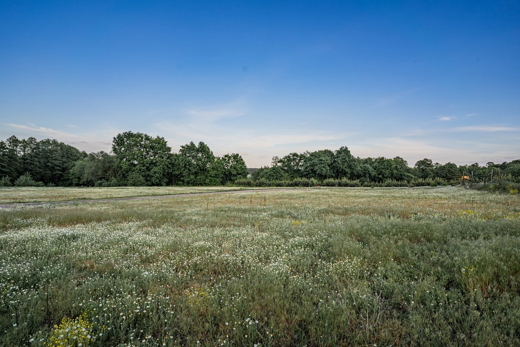 Zdjęcie 13