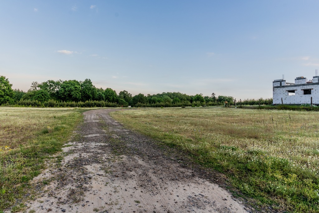 Zdjęcie 15