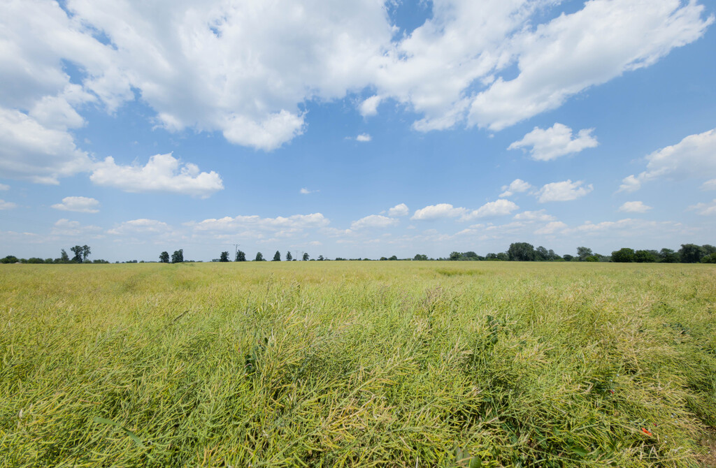 Działka 1140 m² Przeworsk ul. Korczaka – MPZP