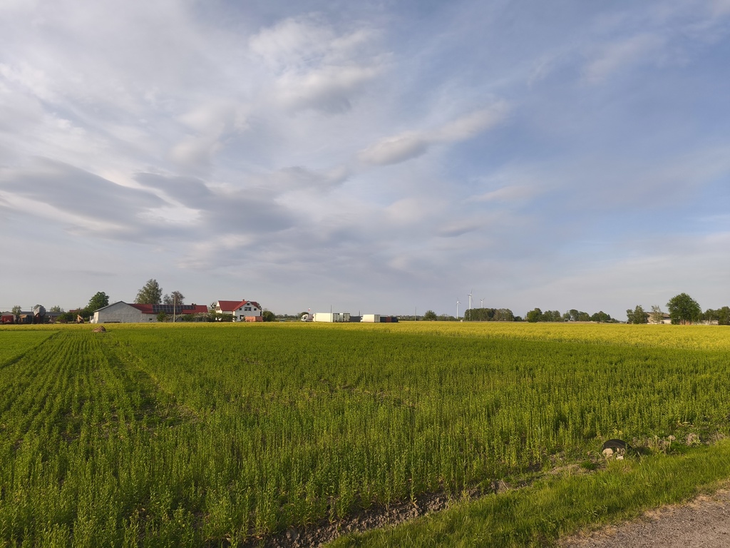 Działka budowlana 3 002 m², Wola Miedniewska