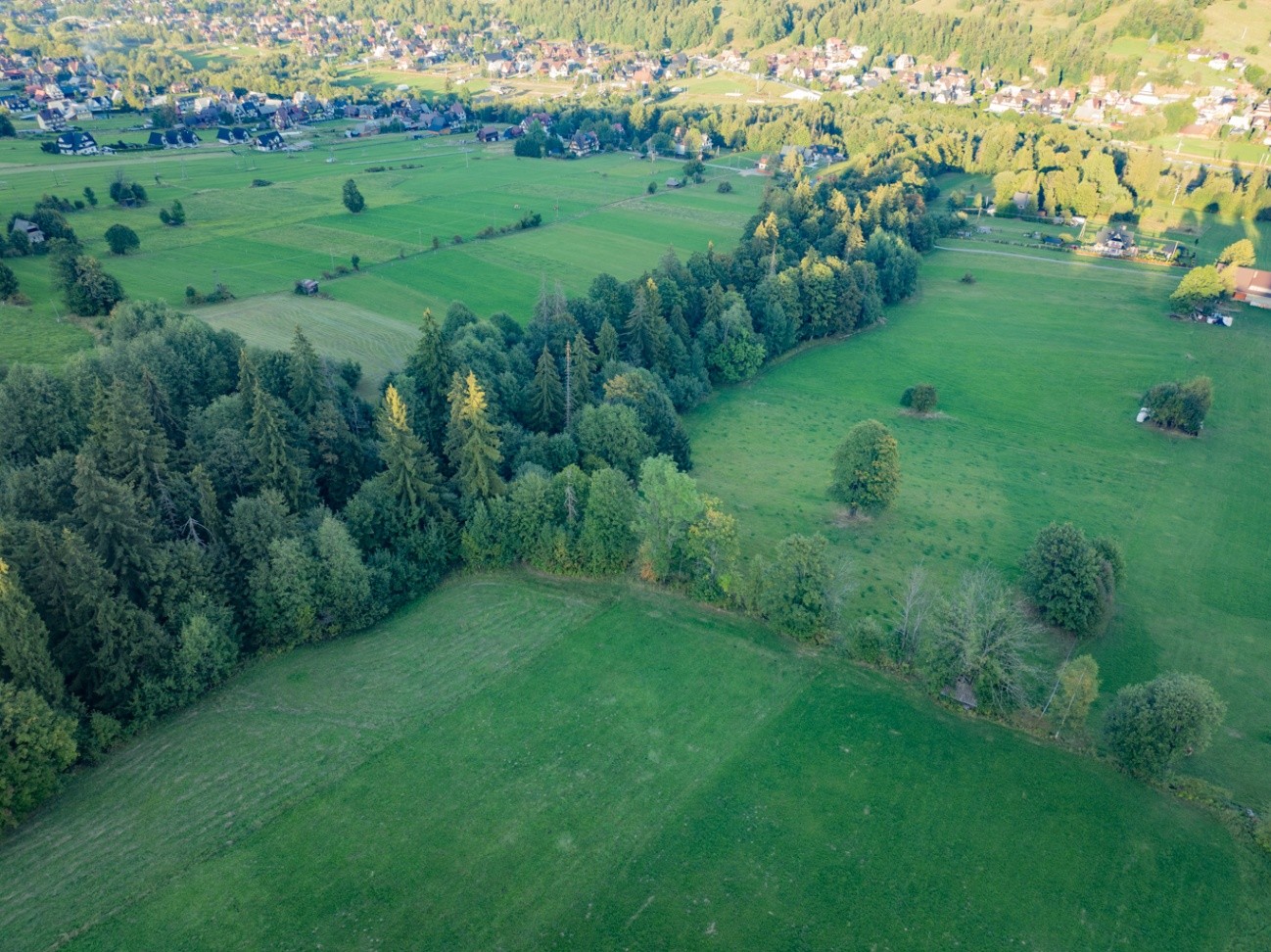 Zdjęcie 15