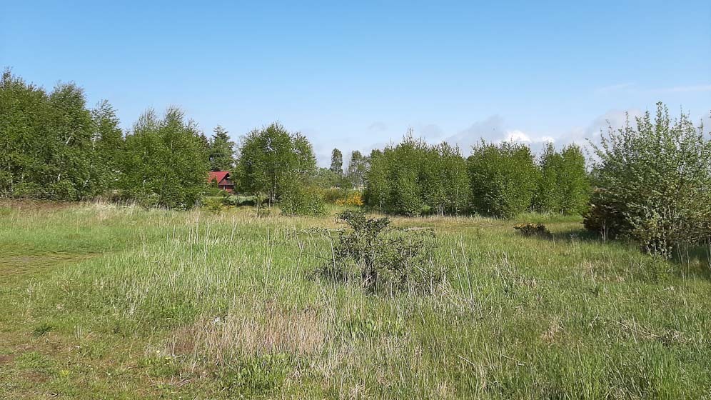 działka z planem zagospodarowania