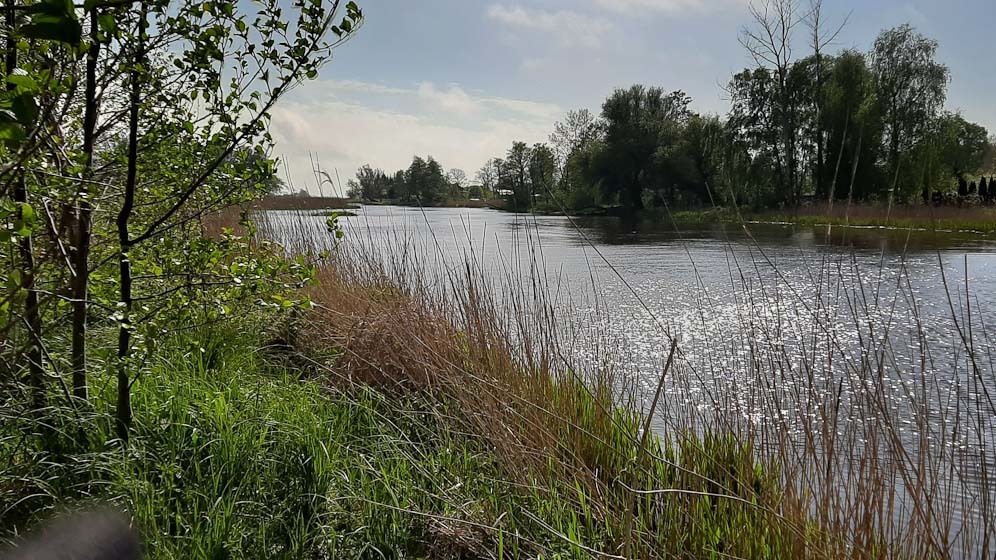 Zdjęcie 10