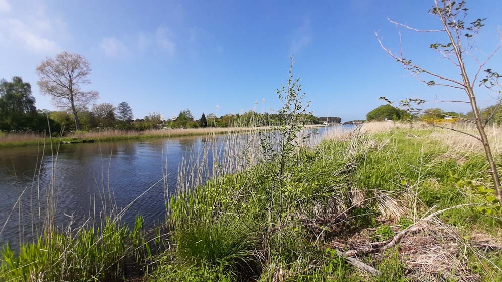 Zdjęcie 12
