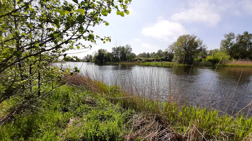 Zdjęcie 13