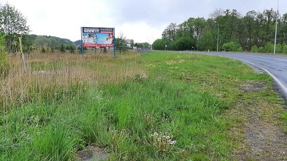 Zdjęcie 18