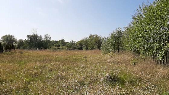 Zdjęcie 19