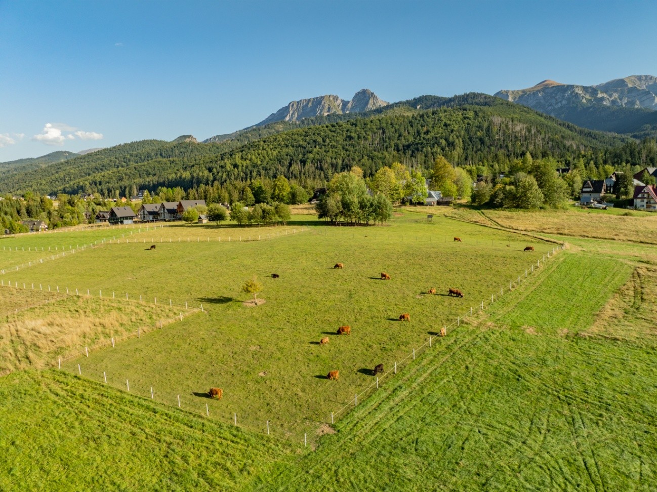 Działka rolna 3 115 m², Kościelisko