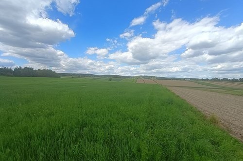 Działka rolna | Cholerzyn | 5400 m2