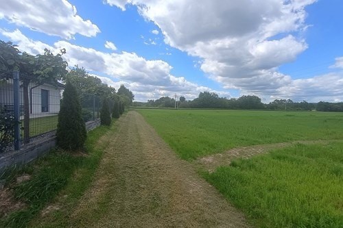 Zdjęcie 3