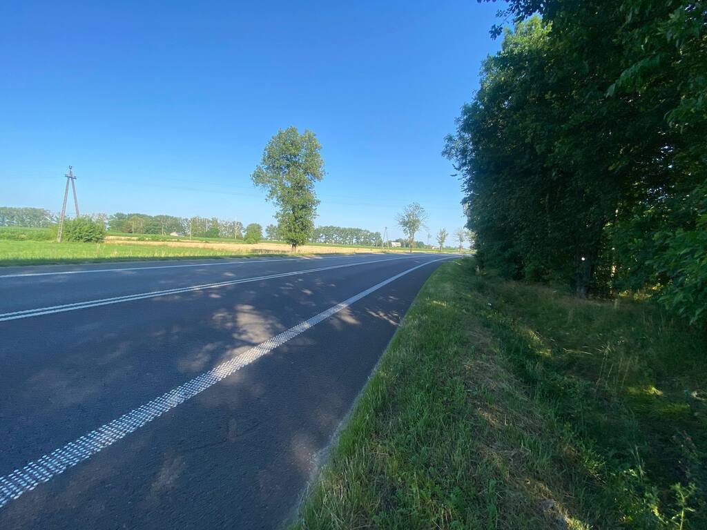 Zdjęcie 6