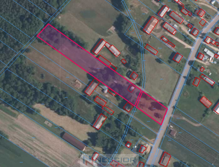 Działka 6700m2 na sprzedaż z siedliskiem