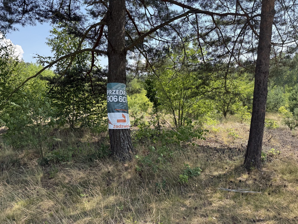 Zdjęcie 3