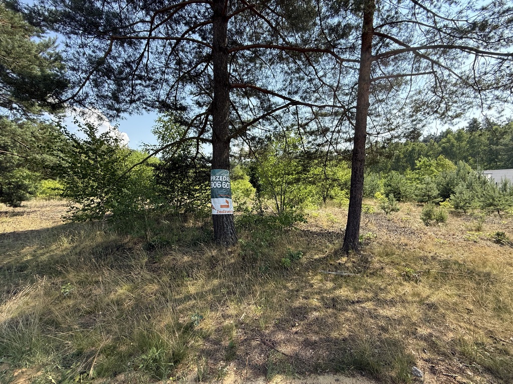 Zdjęcie 7