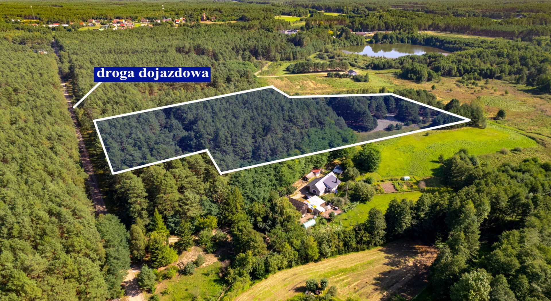 Teren 3,5ha w sercu Puszczy Noteckiej|Prywatny las