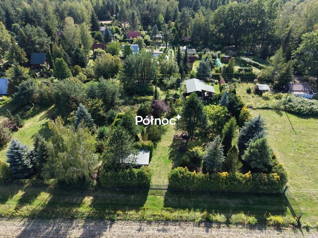 Zdjęcie 14