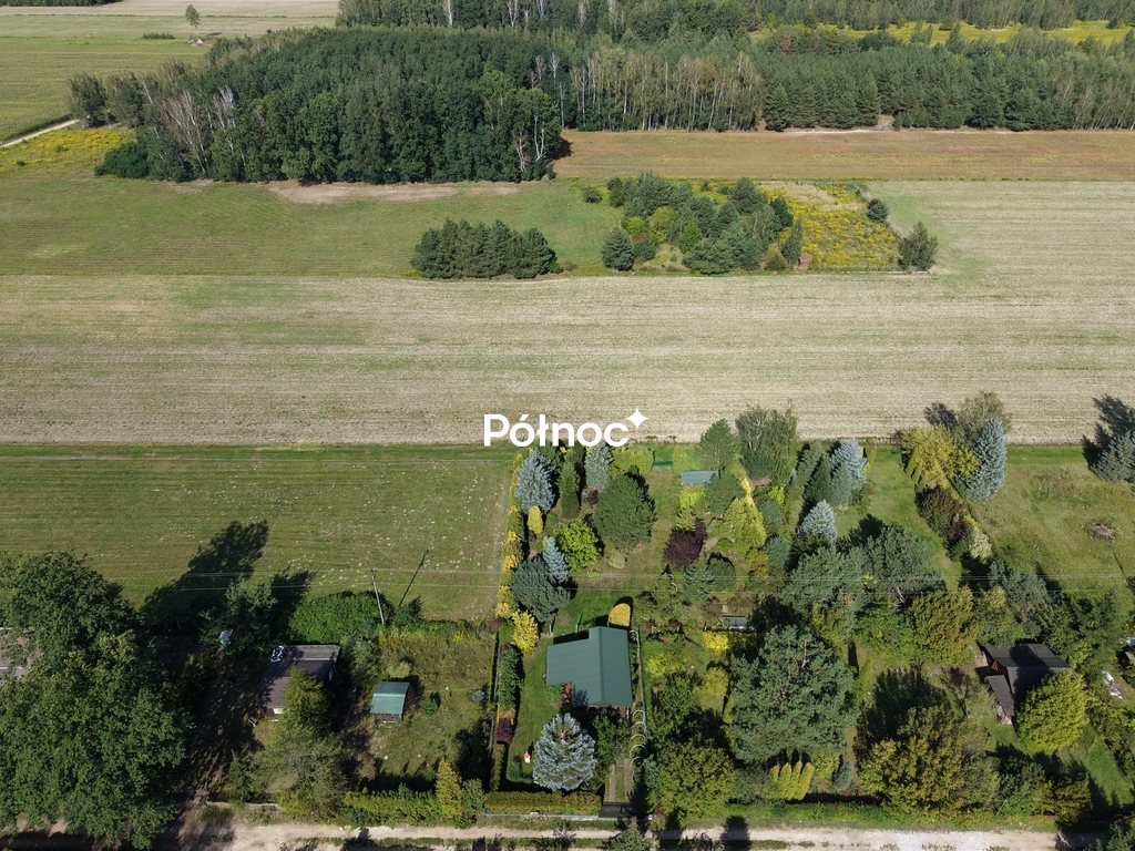 Zdjęcie 15