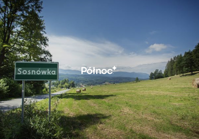 Zdjęcie 3