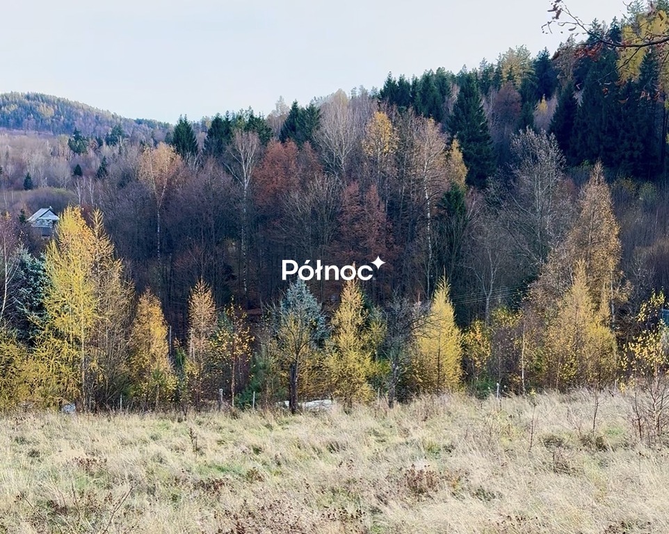 Zdjęcie 12