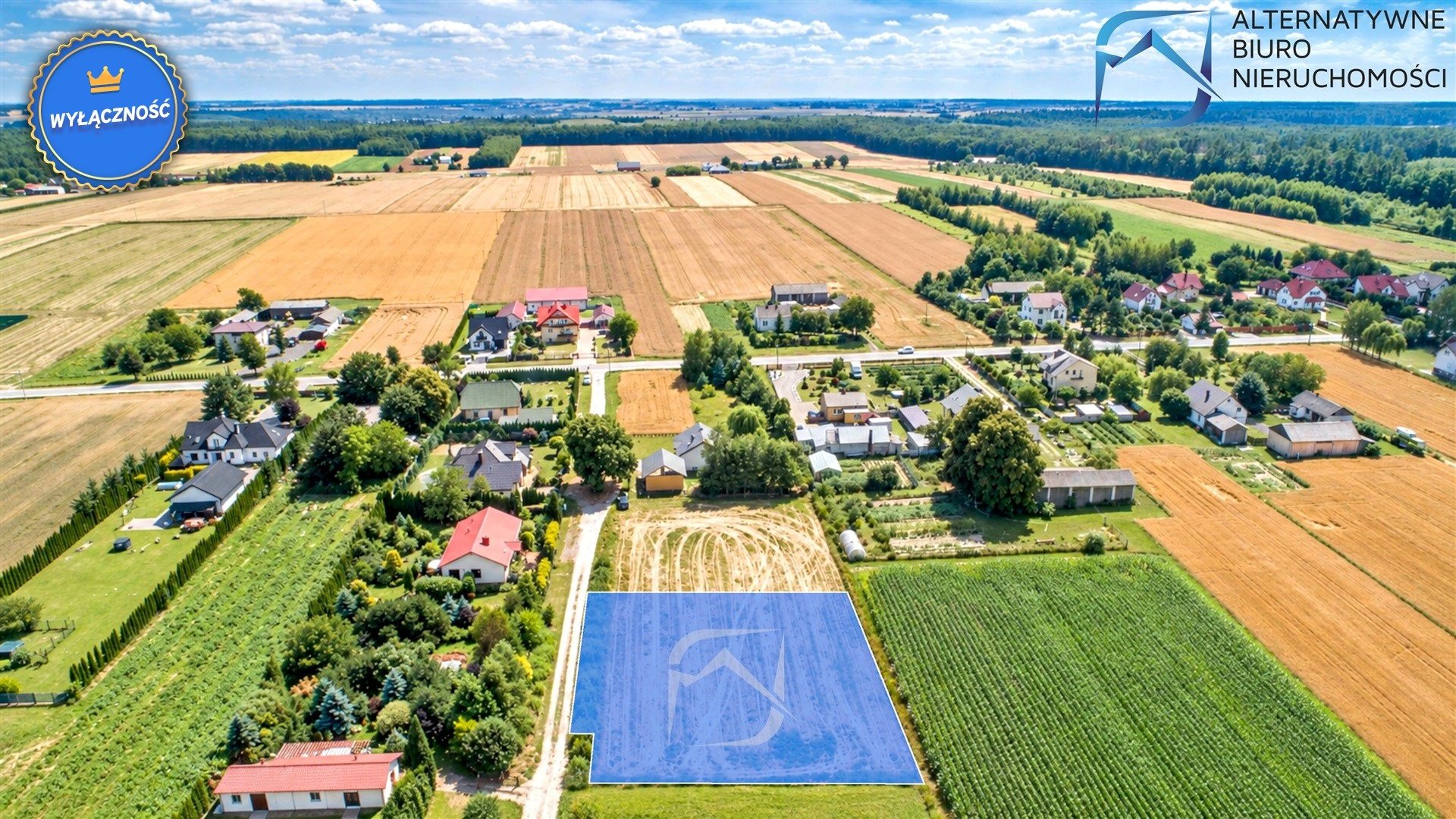 Zdjęcie 6