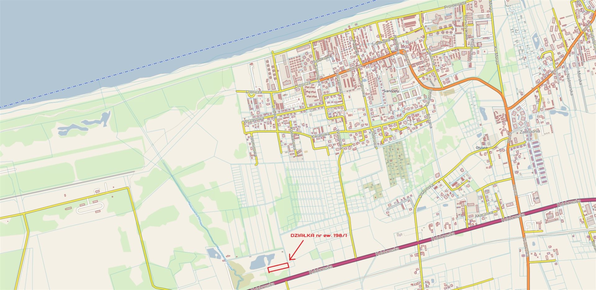 Zdjęcie 6