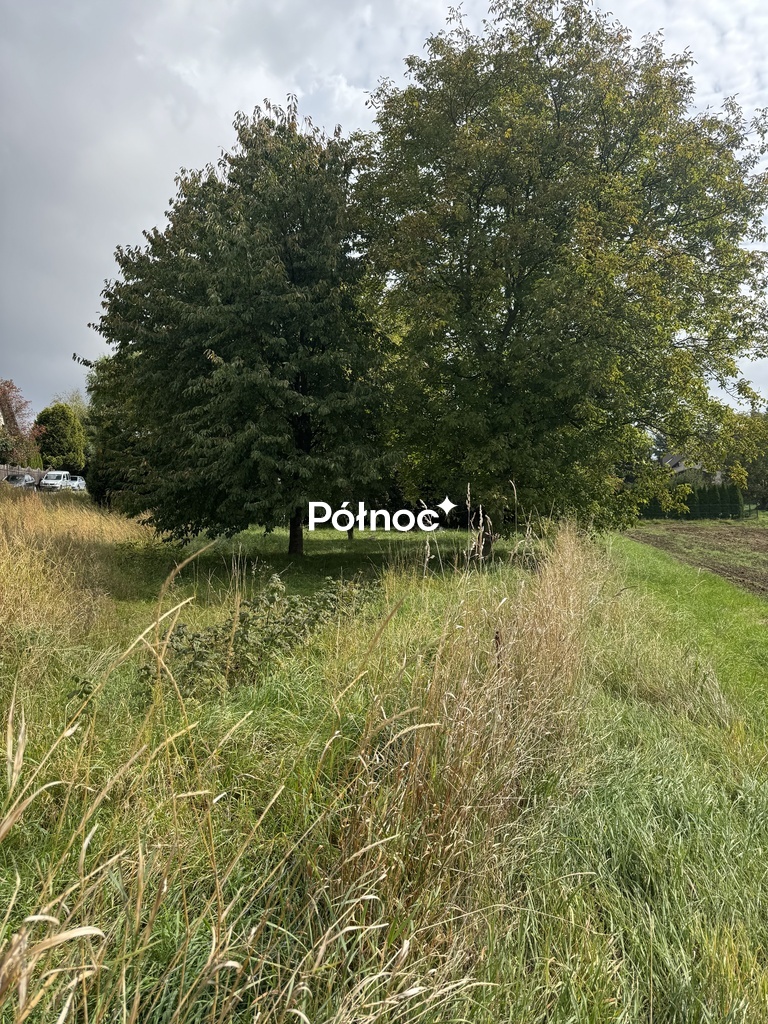 Zdjęcie 2