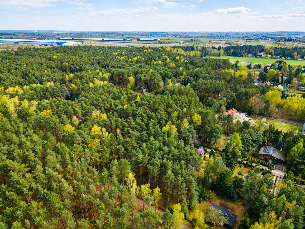 Zdjęcie 14