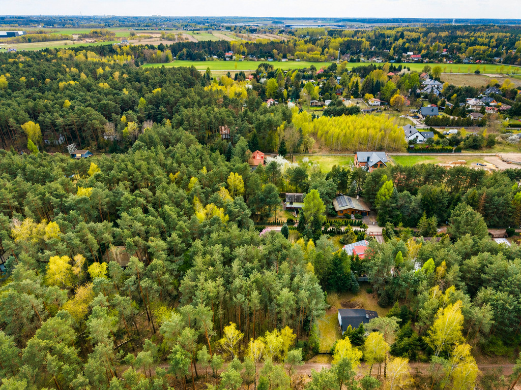 Zdjęcie 16