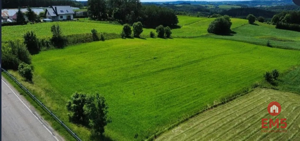 Zdjęcie 3