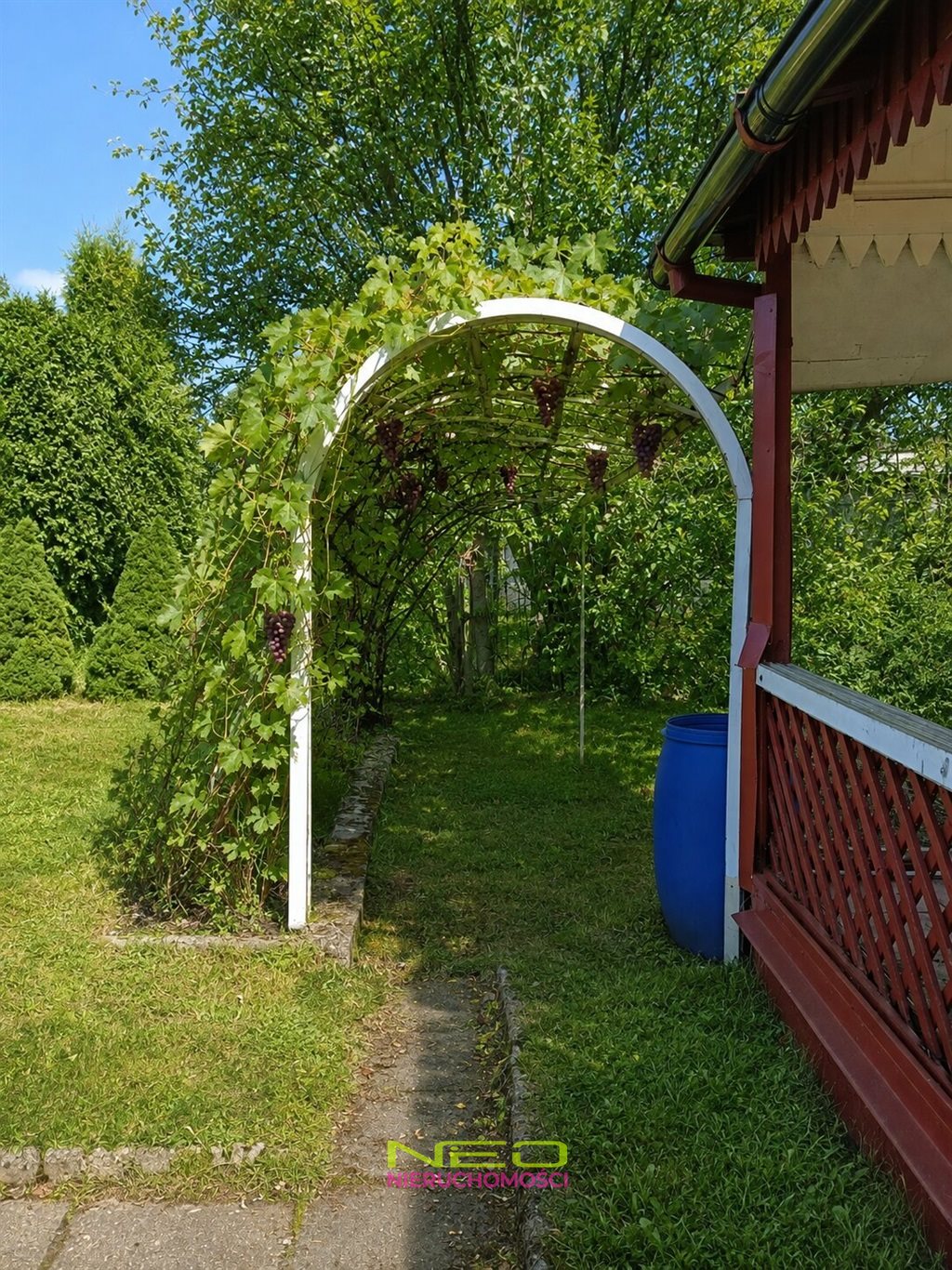 Zdjęcie 5