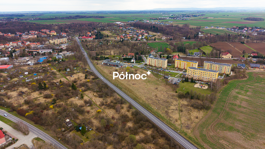 Zdjęcie 3
