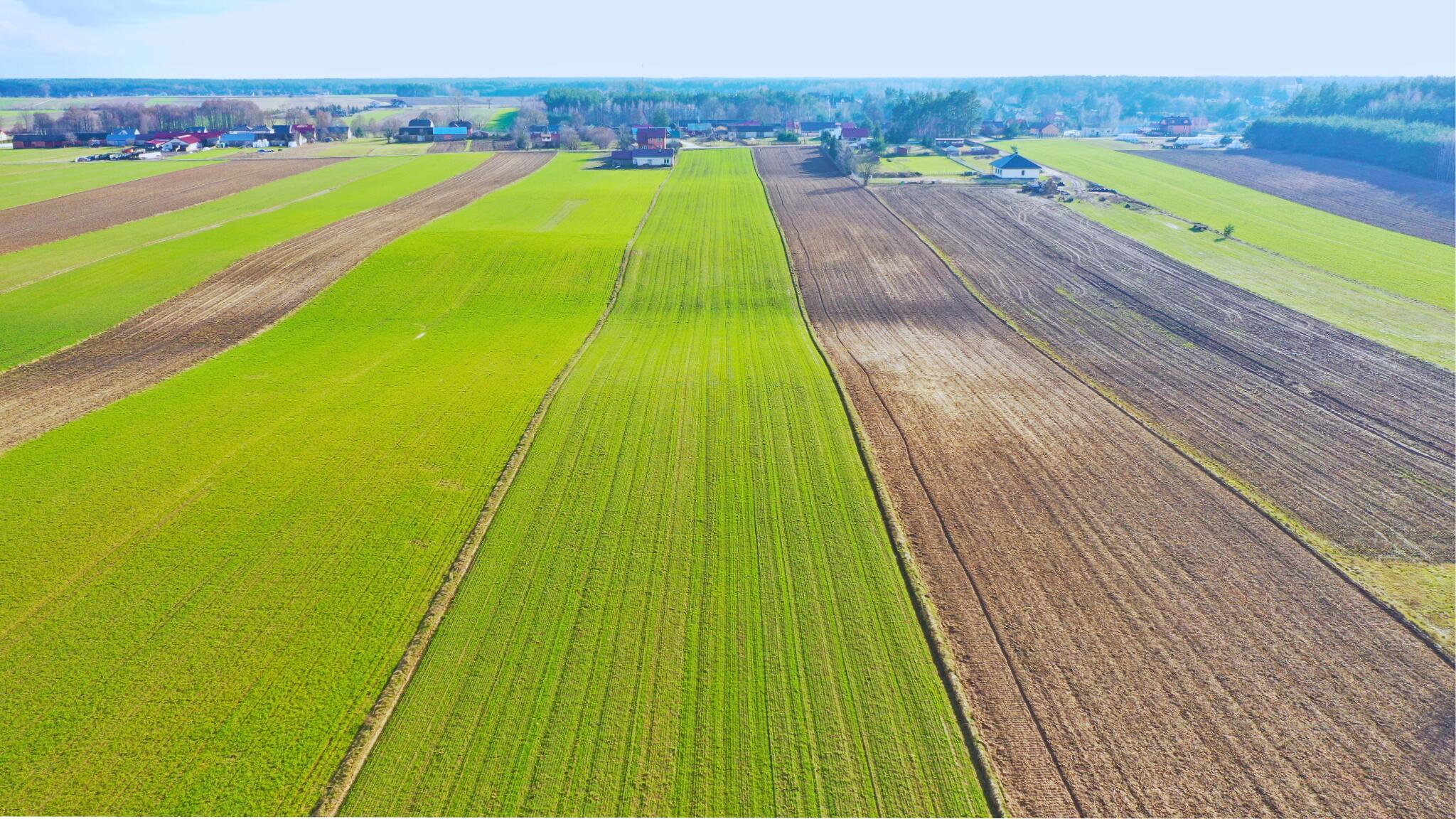 Zdjęcie 10