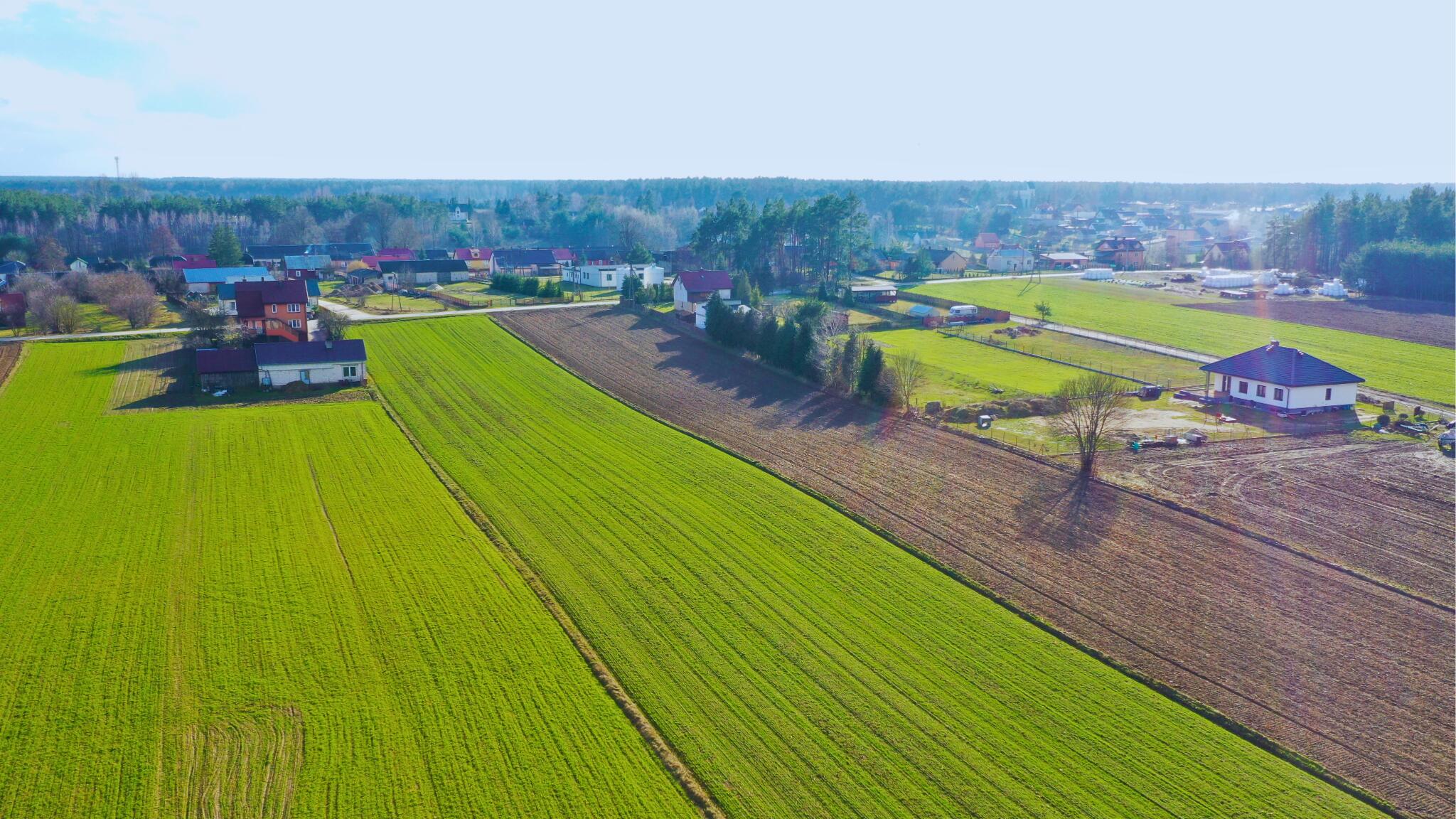 Zdjęcie 11