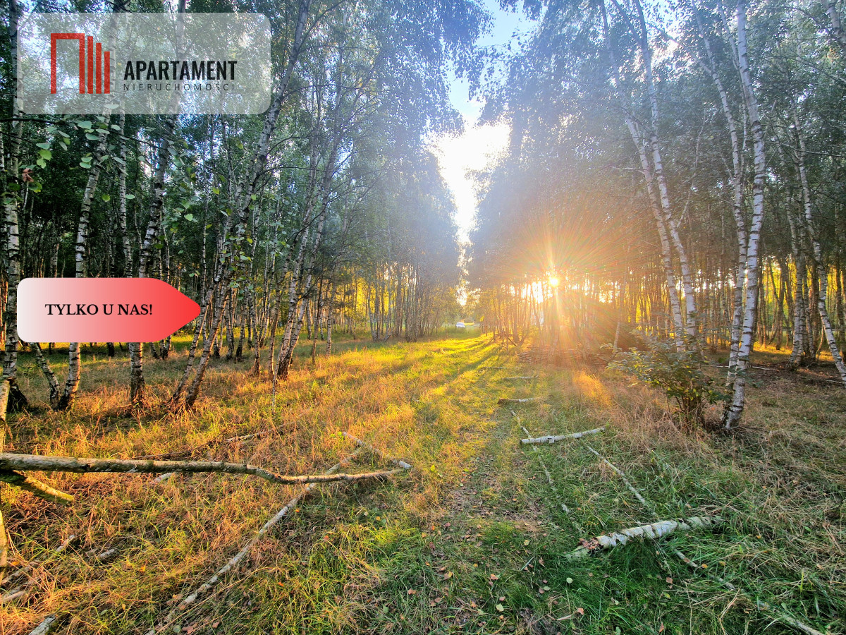 Nowa cena! Działki budowlane 15 minut od Gniezna