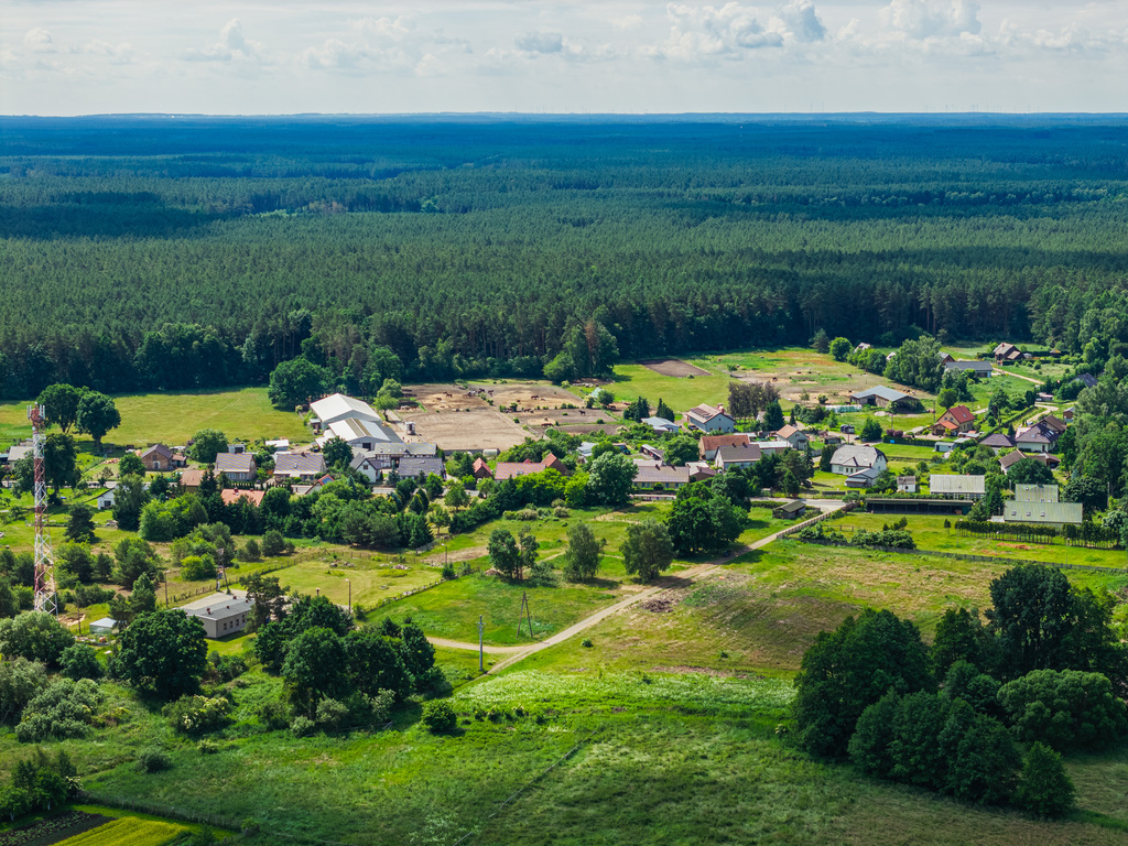 Zdjęcie 16