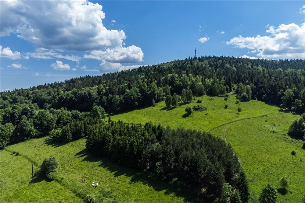 Zdjęcie 5