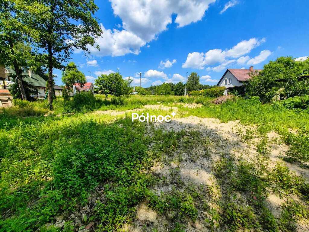 Zdjęcie 3