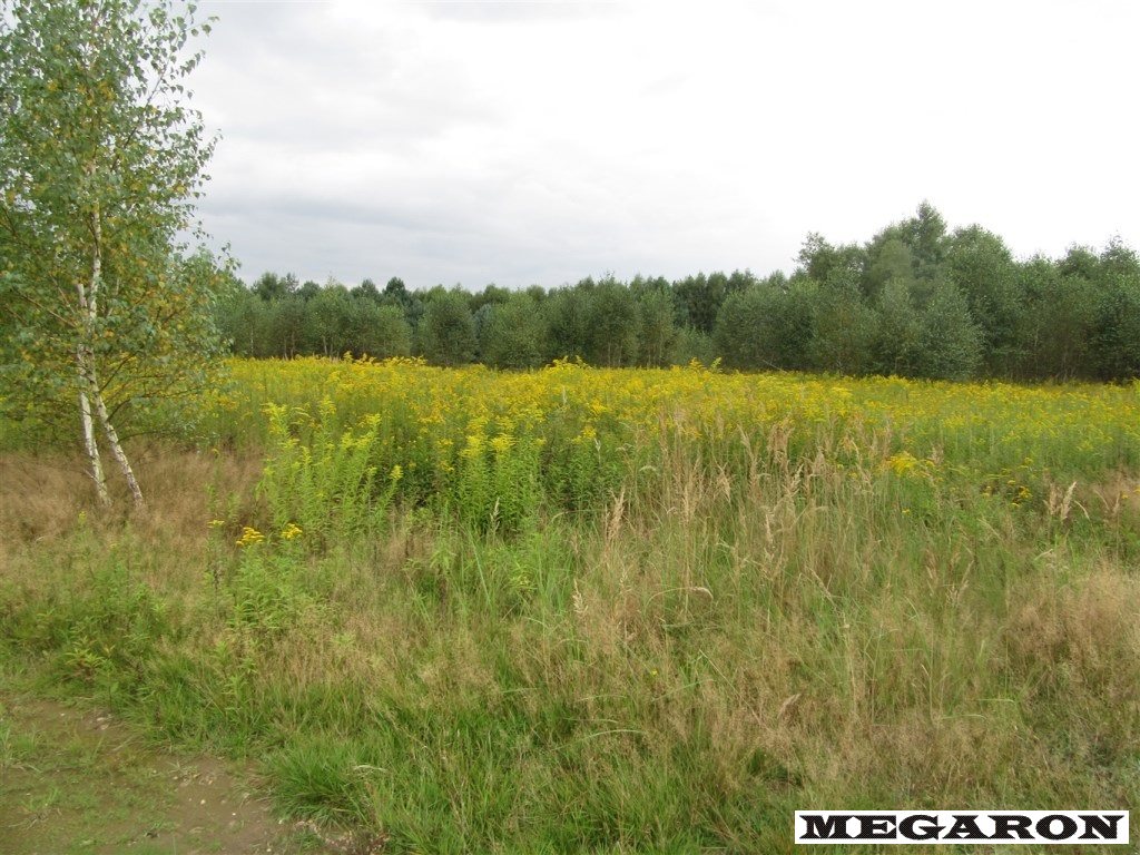 Działka działka – Wola Mokrzeska
