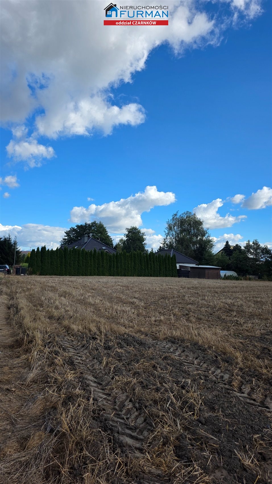 Zdjęcie 6