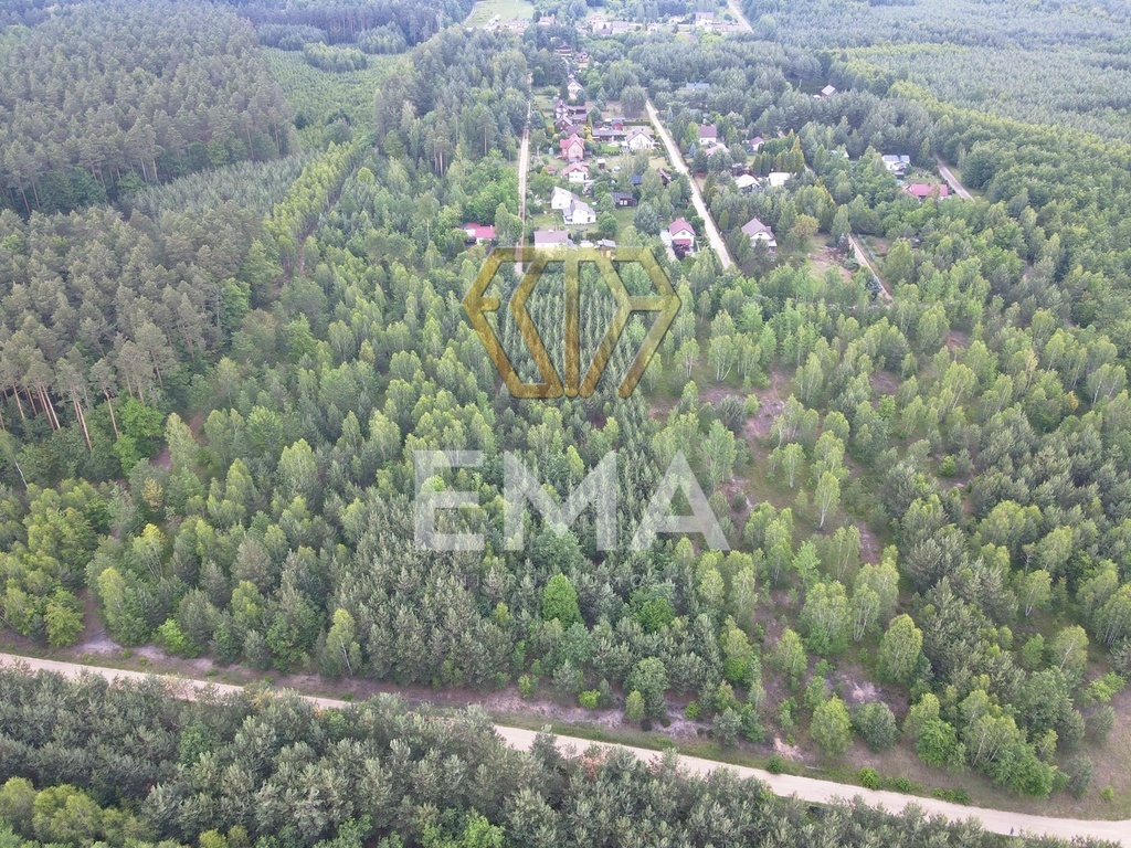 Zdjęcie 11