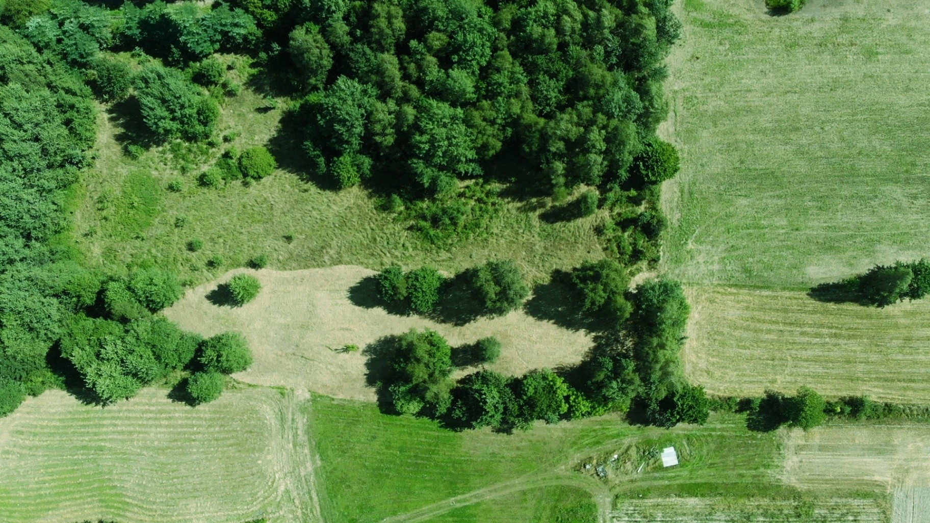 Działka rolna z dopuszczeniem zabudowy zagrodowej | 2393 m2