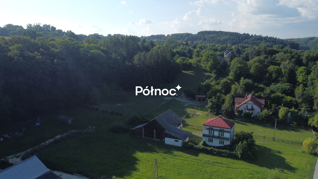 Zdjęcie 2