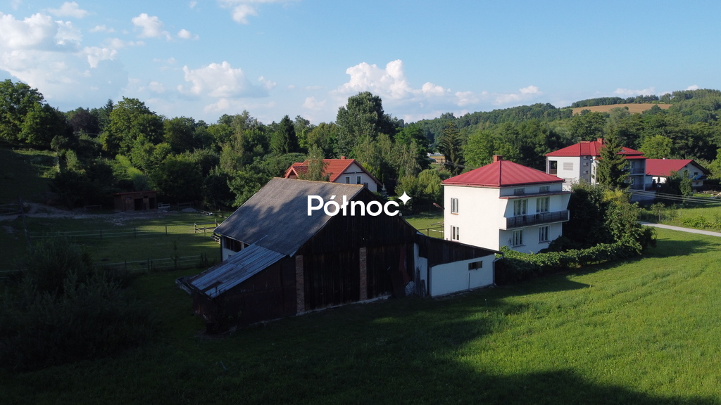 Zdjęcie 5