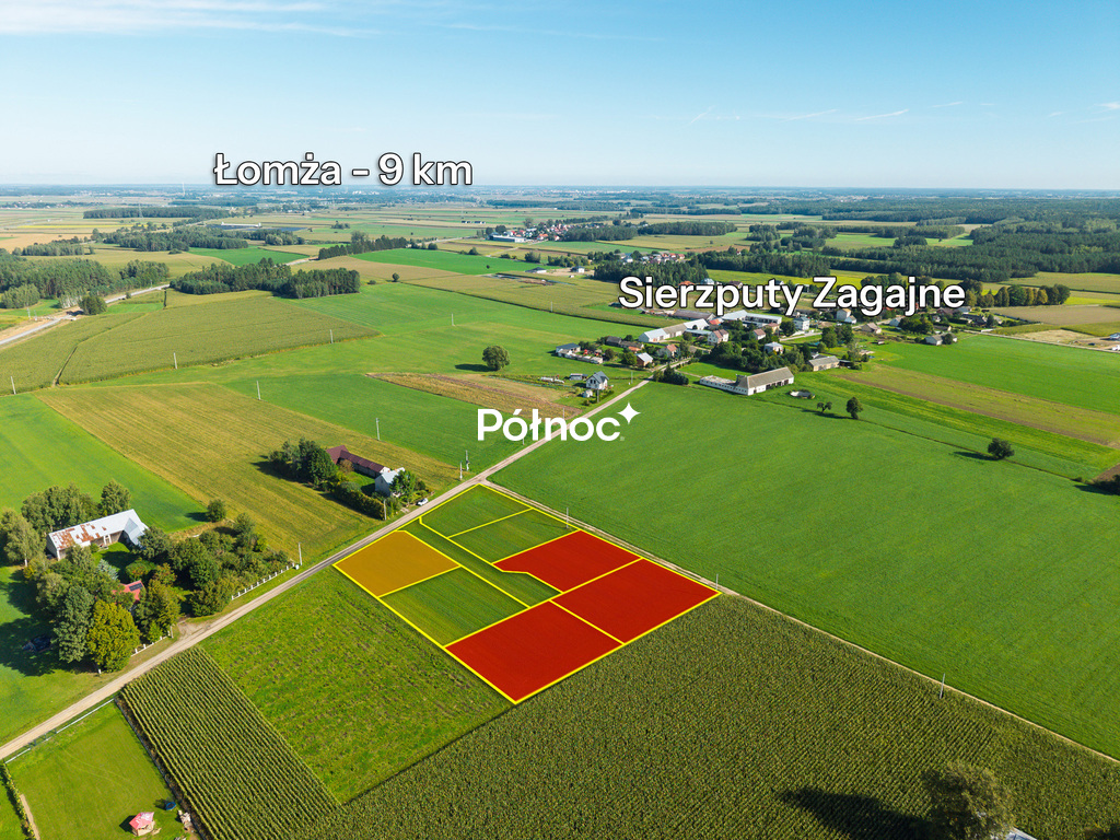 Zdjęcie 5