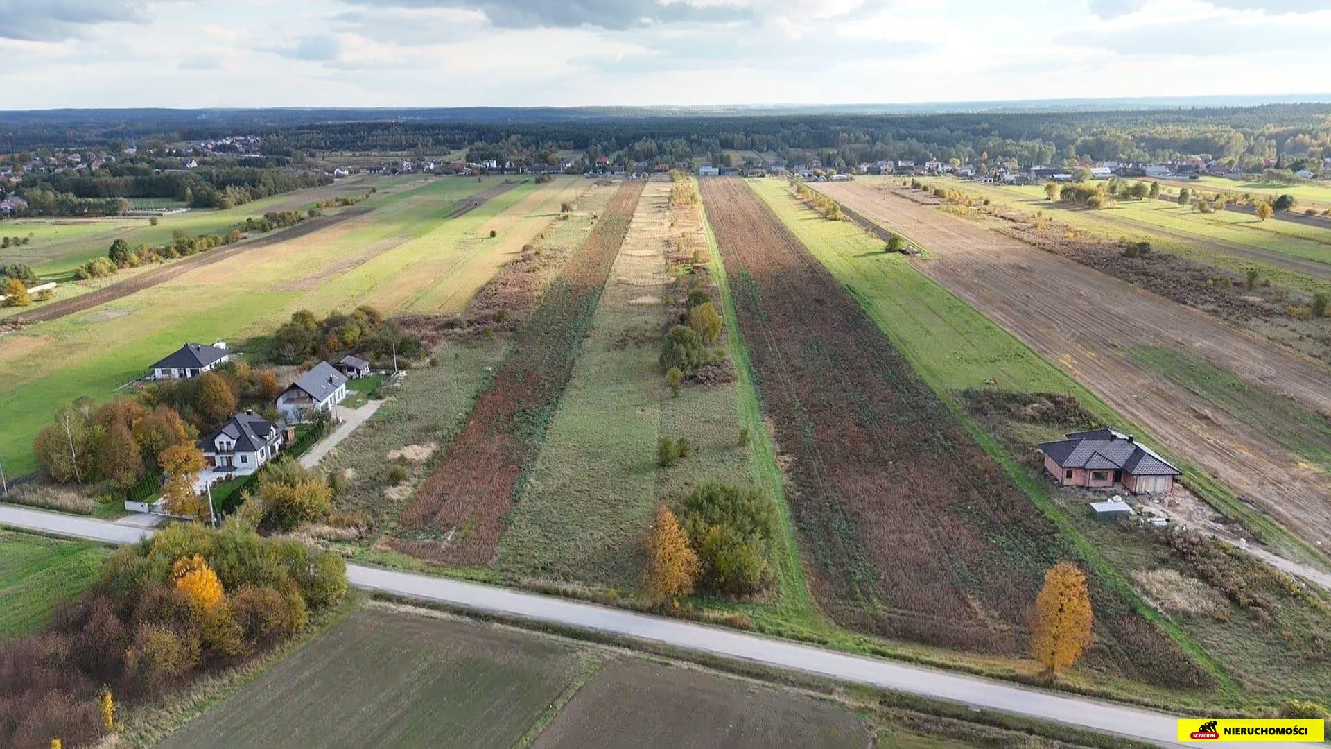 Zdjęcie 10