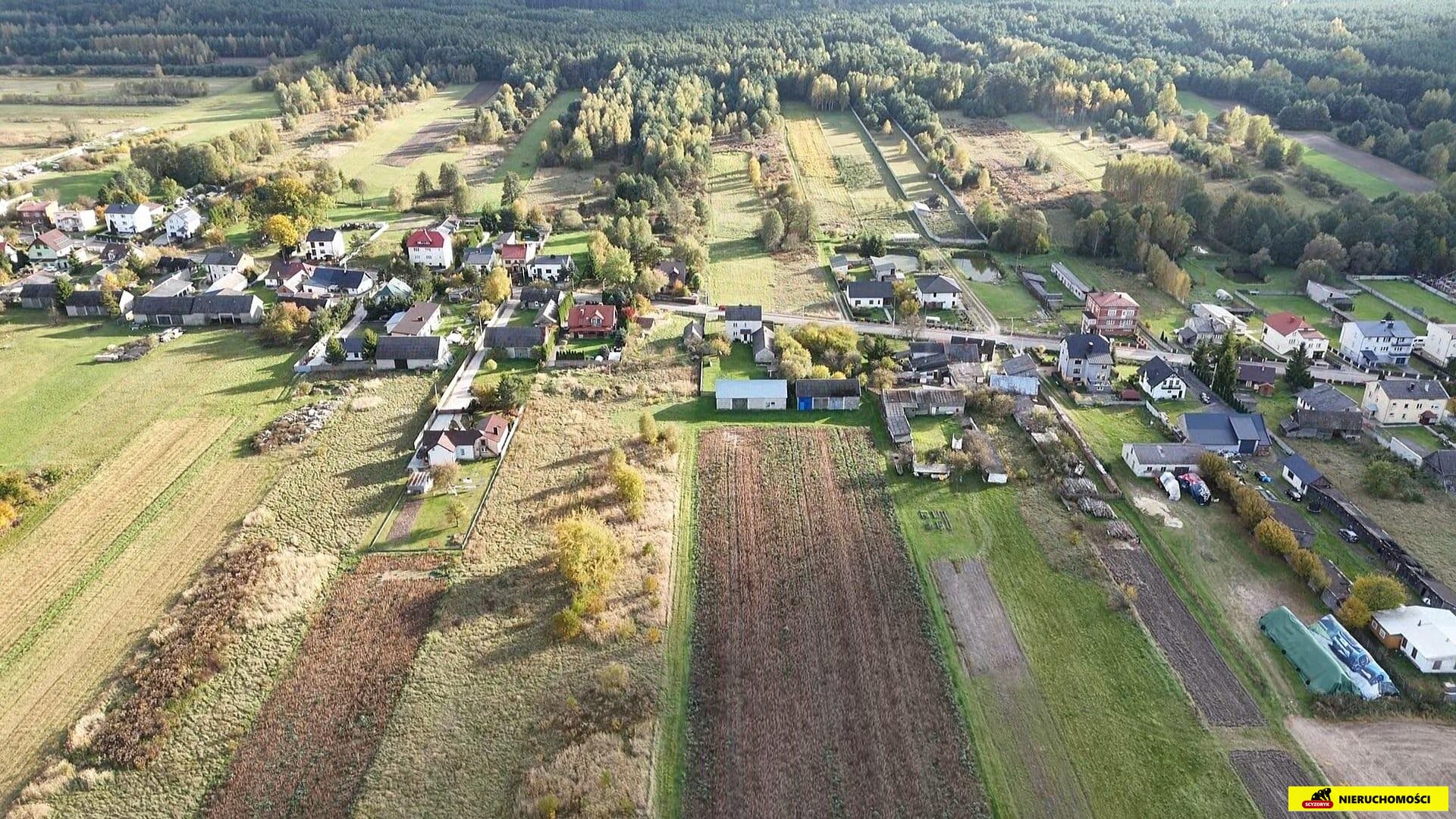 Zdjęcie 11