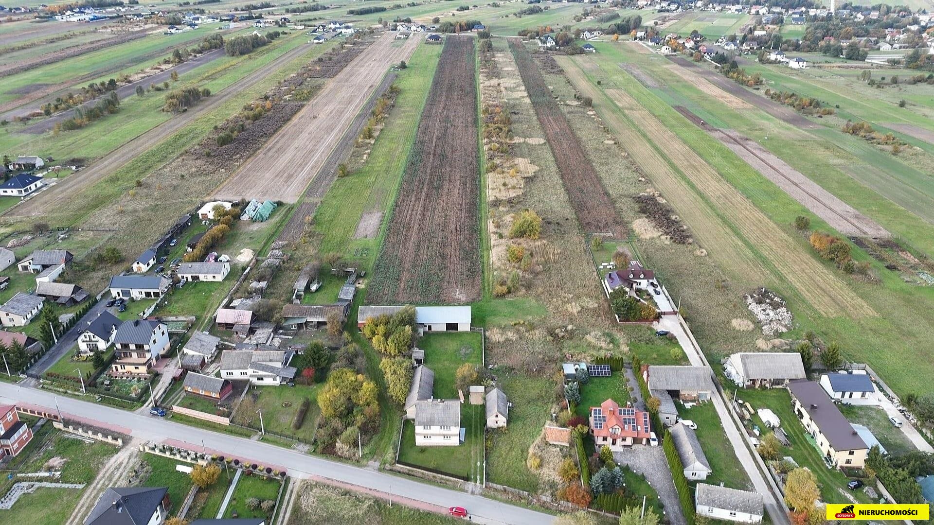 Zdjęcie 12