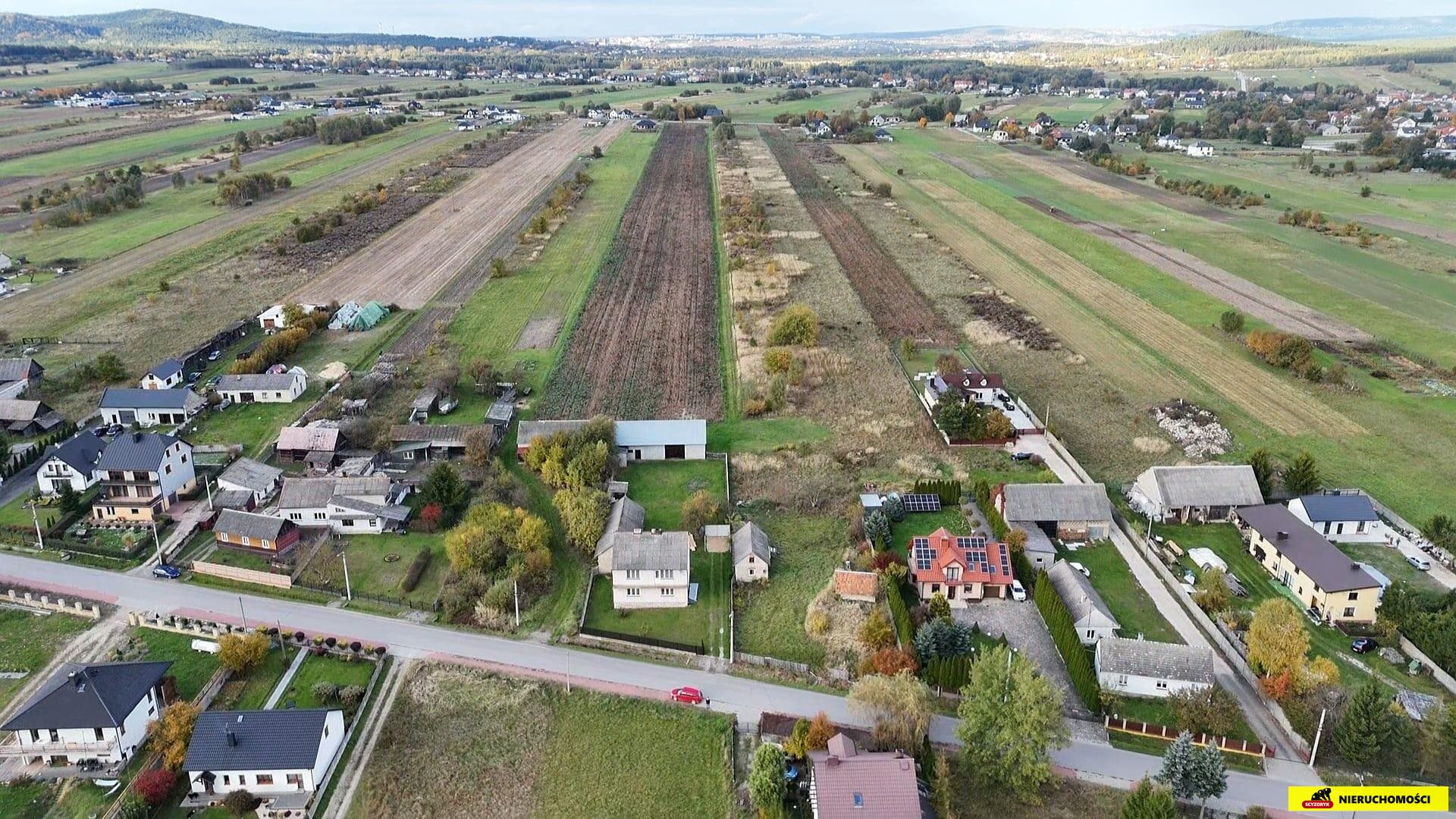Zdjęcie 14